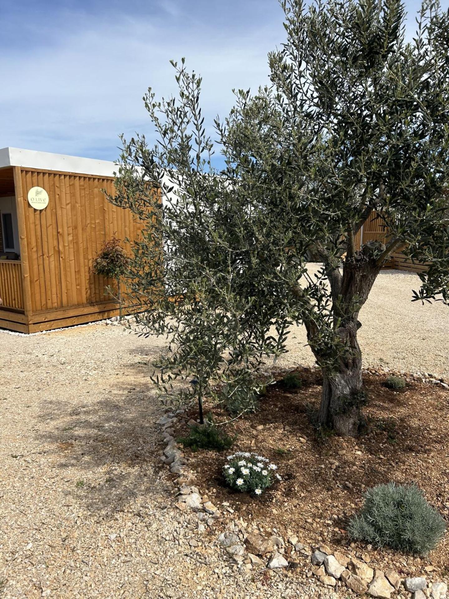 O'Live Premium Mobile Home Drage Exteriér fotografie